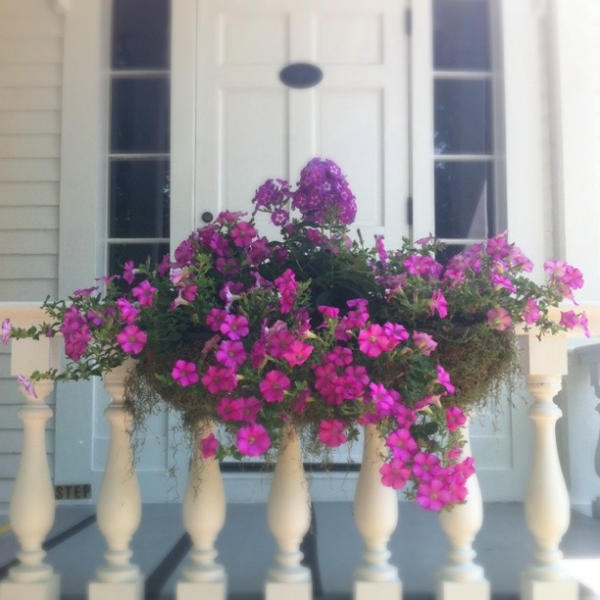 The Old Lyme Inn מראה חיצוני תמונה